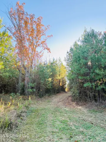 $136,125 | 4210 Attala County Road, Sallis, MS 39160