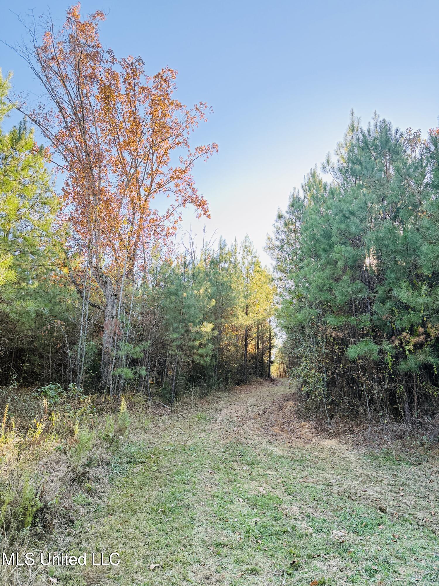 4210 Attala County Road Sallis, MS 39160 - Photo 38 of 52 IMG_9623