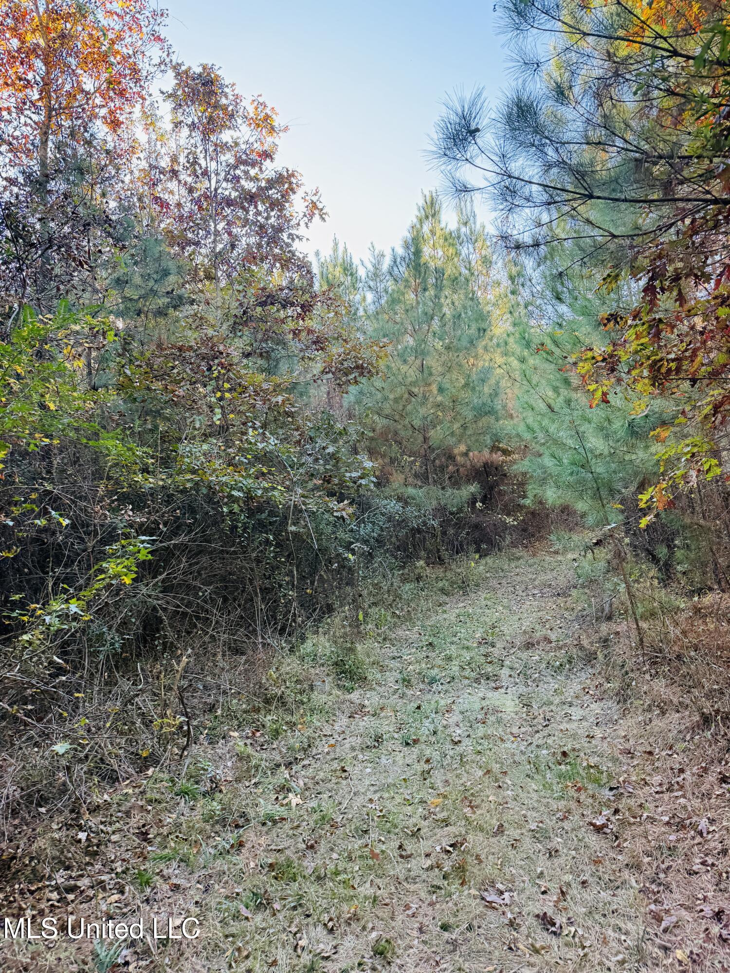 4210 Attala County Road Sallis, MS 39160 - Photo 39 of 52 IMG_9625