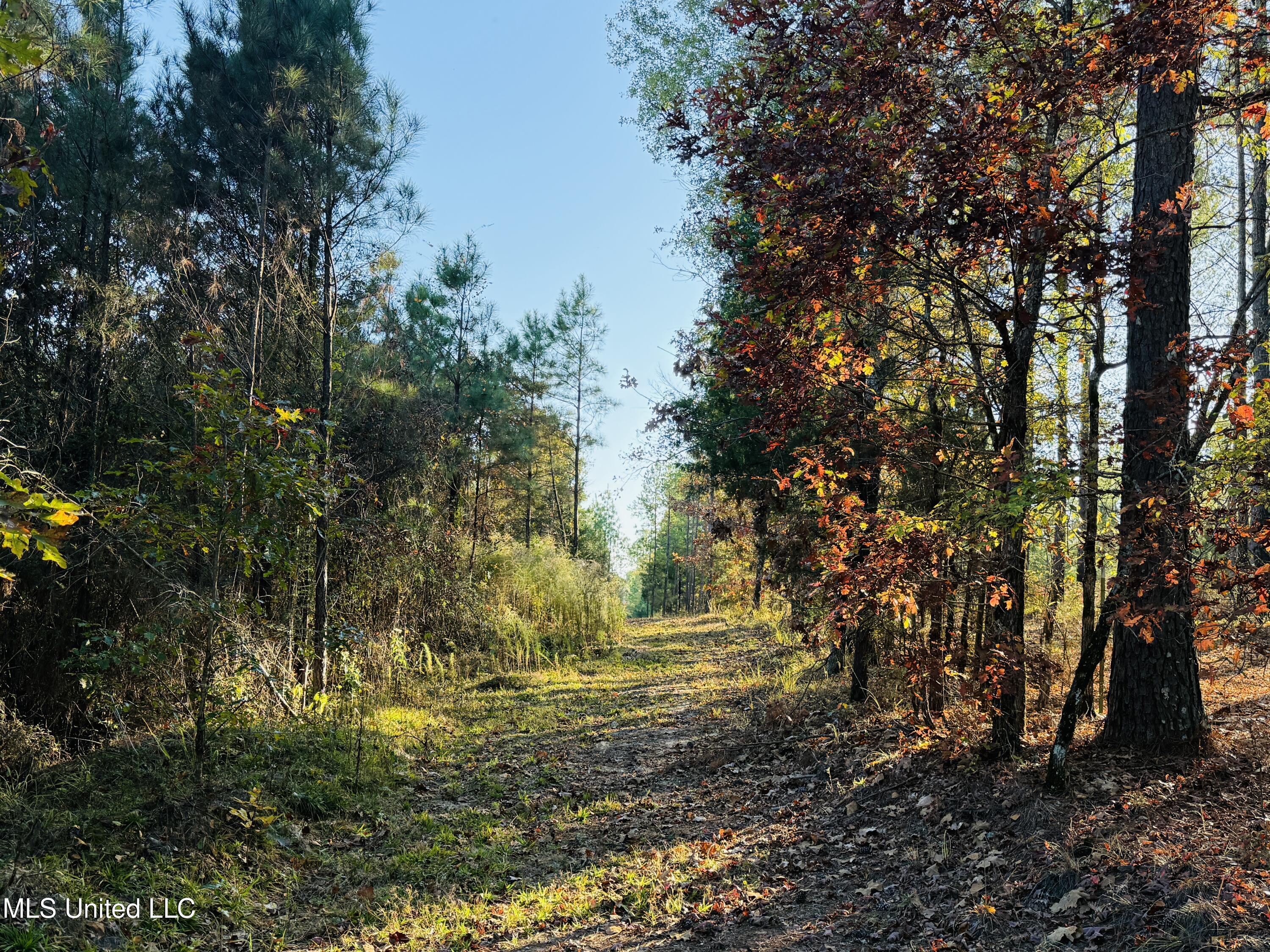 4210 Attala County Road Sallis, MS 39160 - Photo 40 of 52 IMG_9626