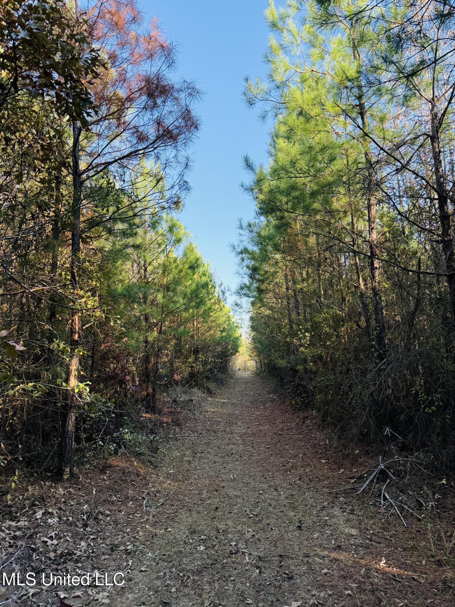 4210 Attala County Road Sallis, MS 39160 - Photo 41 of 52 IMG_9628