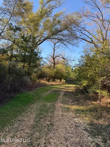 $136,125 | 4210 Attala County Road, Sallis, MS 39160