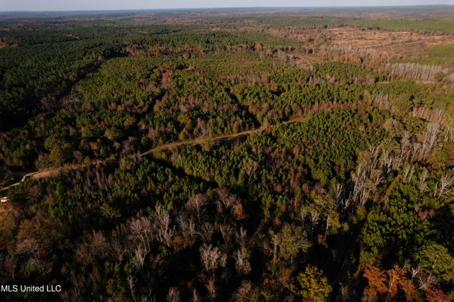 $136,125 | 4210 Attala County Road, Sallis, MS 39160