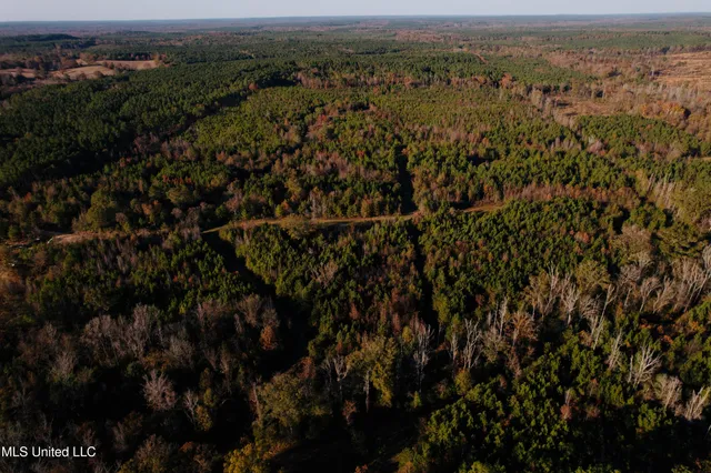 $136,125 | 4210 Attala County Road, Sallis, MS 39160