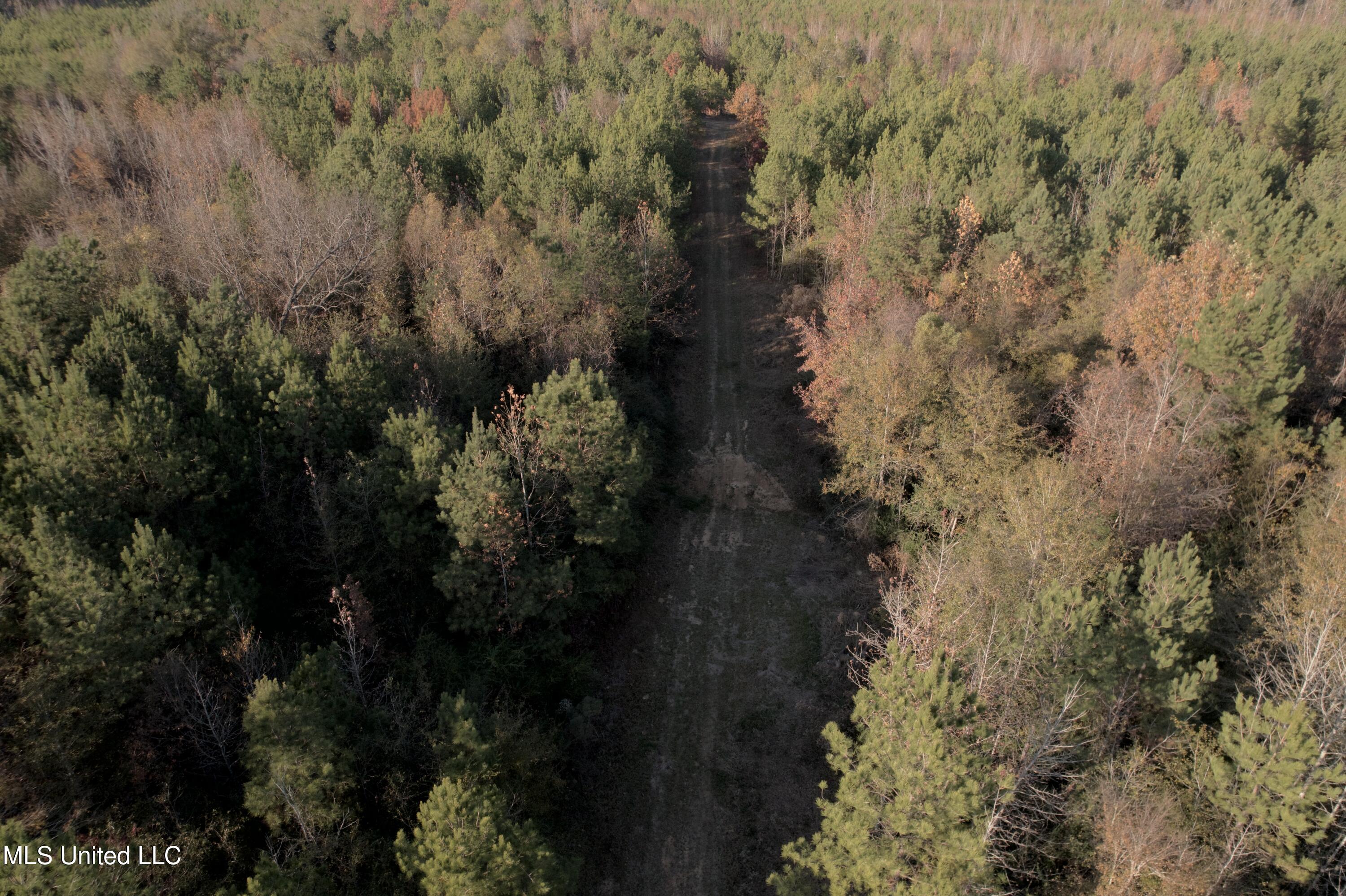 4210 Attala County Road Sallis, MS 39160 - Photo 45 of 52 dji_fly_20251115_152138_864_176324226437