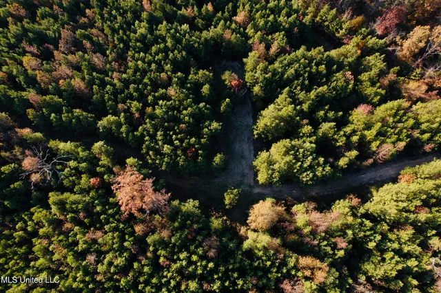 $136,125 | 4210 Attala County Road, Sallis, MS 39160