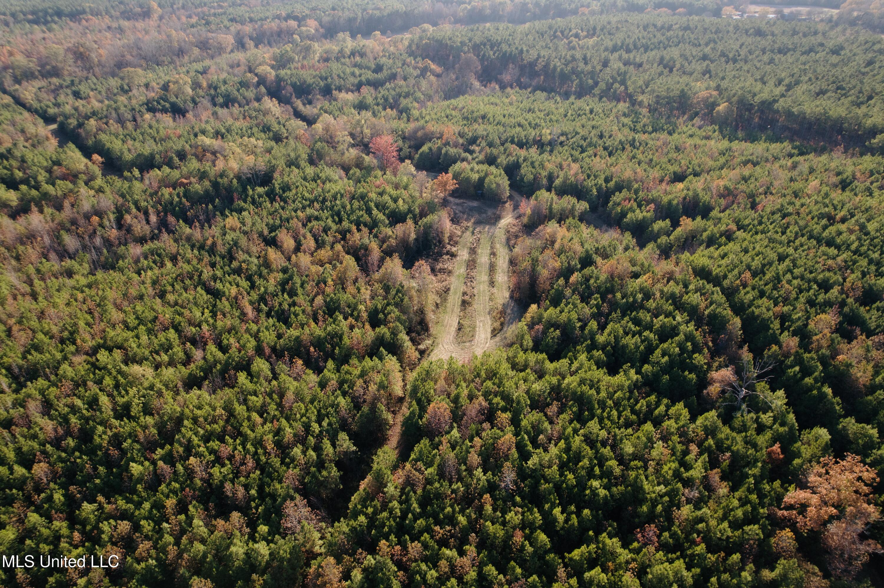 4210 Attala County Road Sallis, MS 39160 - Photo 47 of 52 dji_fly_20251115_152352_869_176324222721