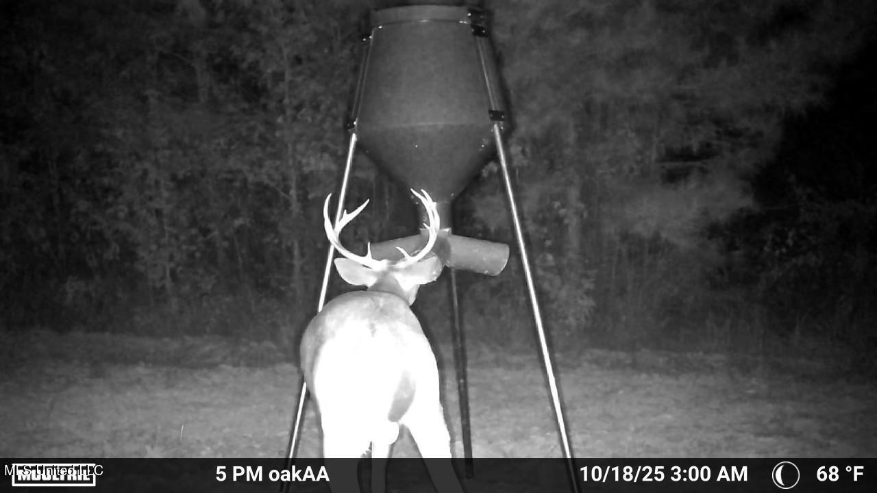 4210 Attala County Road Sallis, MS 39160 - Photo 8 of 52 5