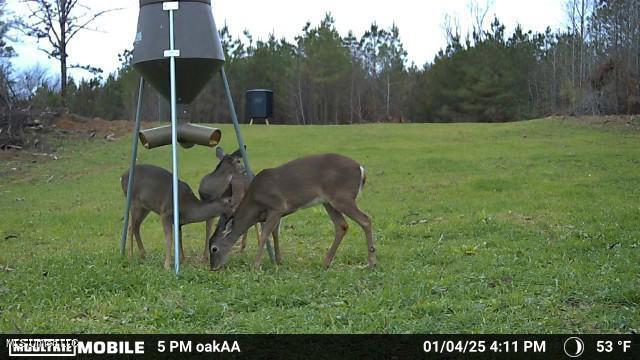 4210 Attala County Road Sallis, MS 39160 - Photo 9 of 52 6