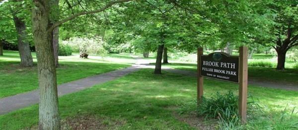 10 Vane Street Wellesley, MA 02482 - Photo 30 of 30