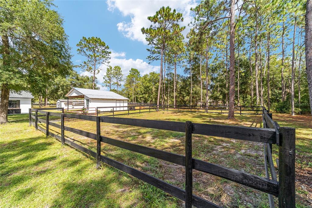 985 Northwest 73rd Terrace Ocala, FL 34482 - Photo 15 of 89 a view of outdoor space with garden and trees