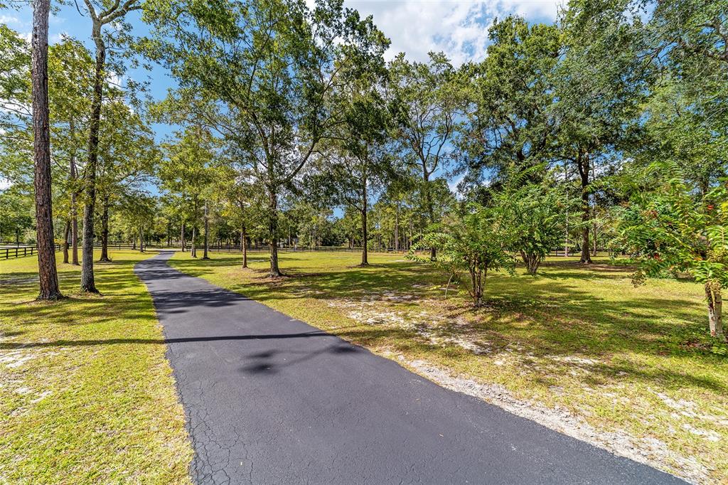 985 Northwest 73rd Terrace Ocala, FL 34482 - Photo 5 of 89 a view of swimming pool with large trees and plants