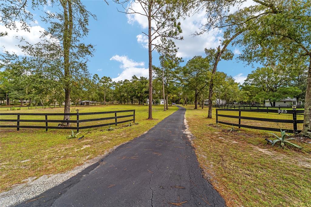 985 Northwest 73rd Terrace Ocala, FL 34482 - Photo 76 of 89 a view of a swimming pool with a bench and trees around