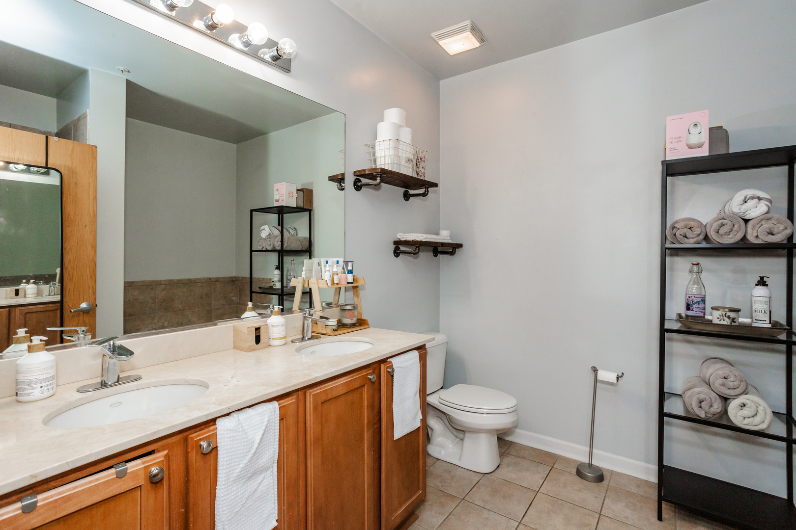 1503 South State Street, Unit 810 Chicago, IL 60605 - Photo 11 of 16 a bathroom with a sink a toilet and a mirror
