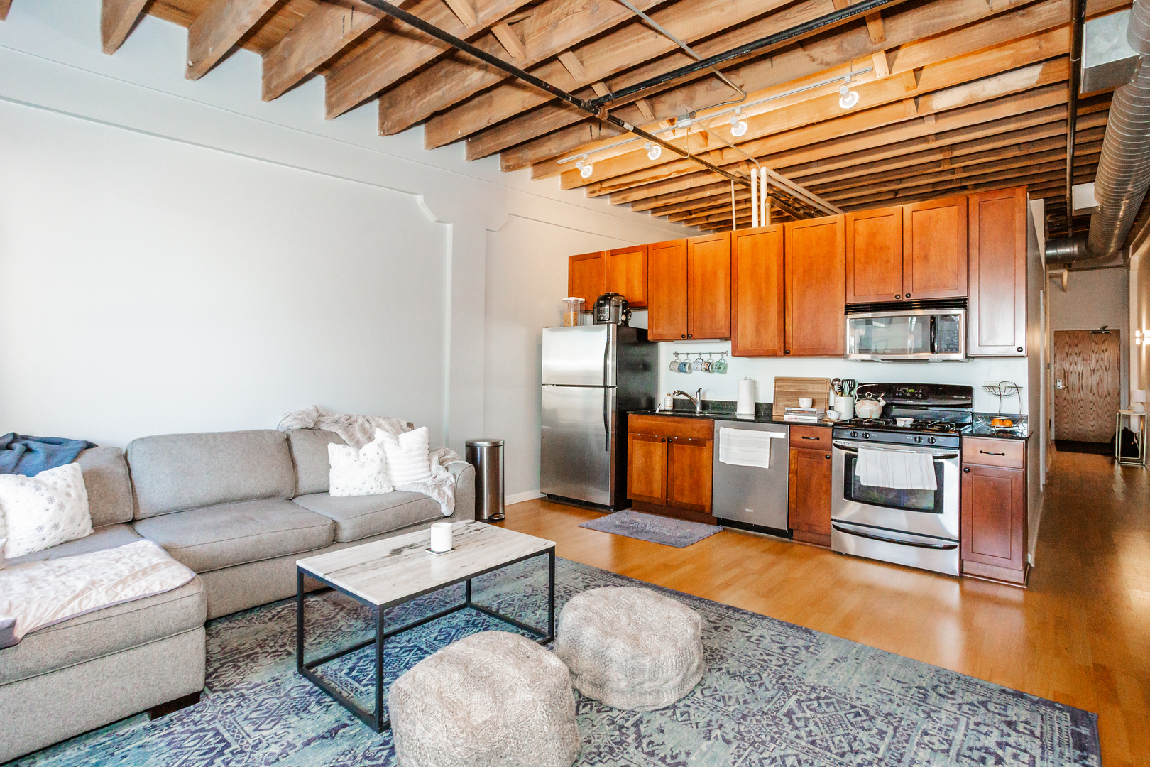 1503 South State Street, Unit 810 Chicago, IL 60605 - Photo 5 of 16 a living room with stainless steel appliances furniture and a rug