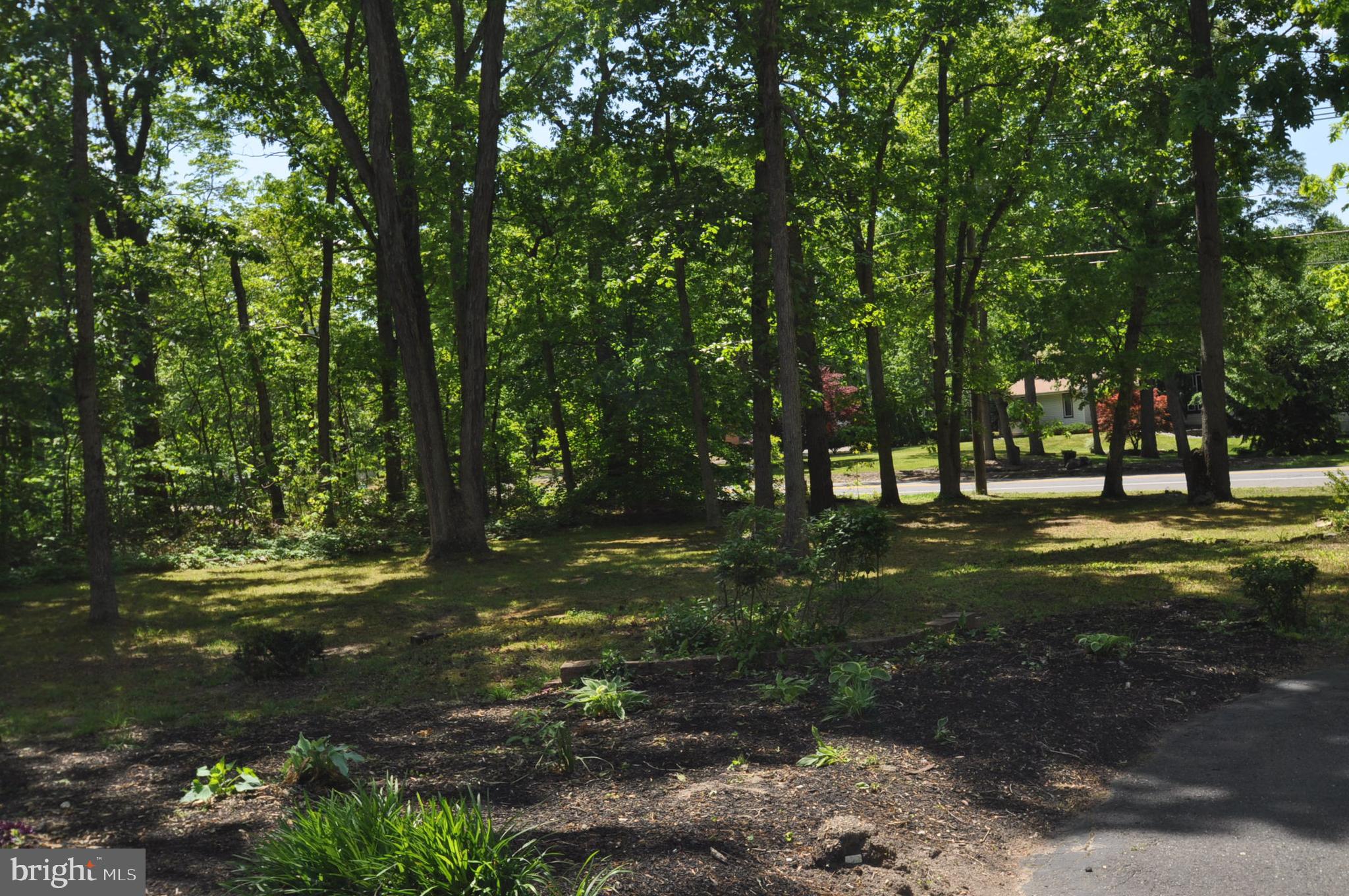 113 Irick Road Westampton, NJ 08060 - Photo 3 of 33 View from front porch