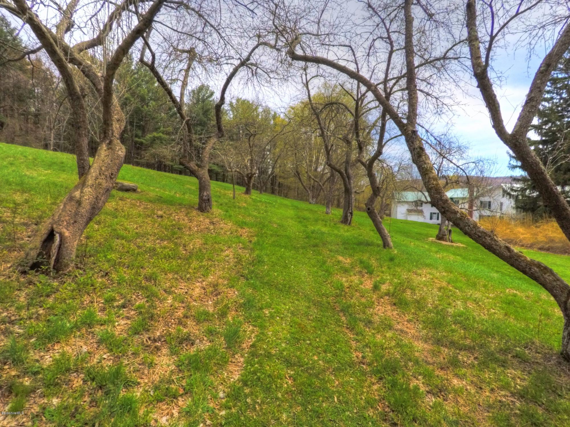 207 Main Road Tyringham, MA 01264 - Photo 33 of 71 a view of a yard with a tree