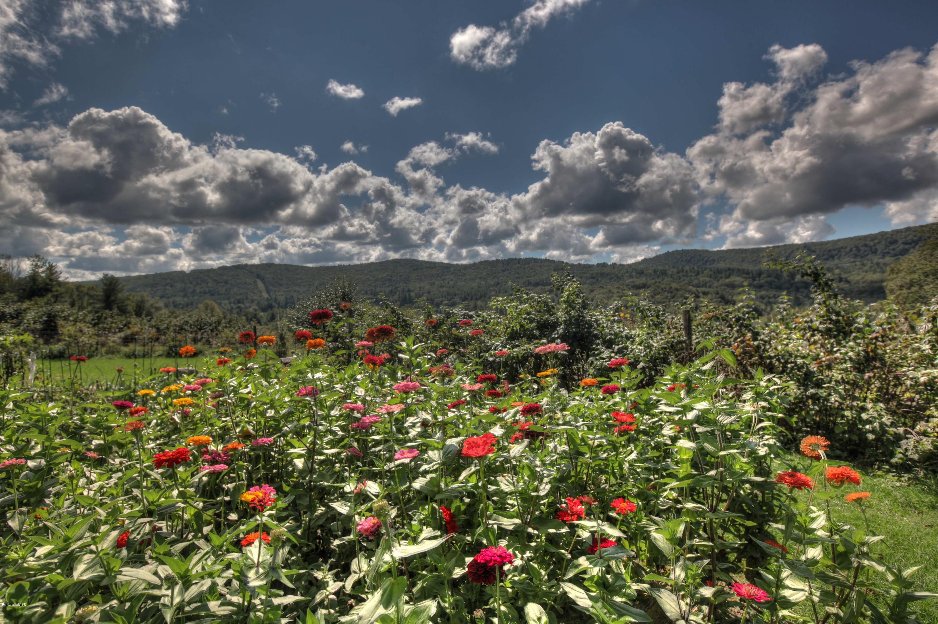 207 Main Road Tyringham, MA 01264 - Photo 69 of 71 a view of a bunch of flowers in a field