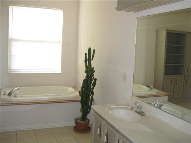7348 Spencer Mill Road Fairview, TN 37062 - Photo 14 of 20 a bathroom with a sink and a mirror