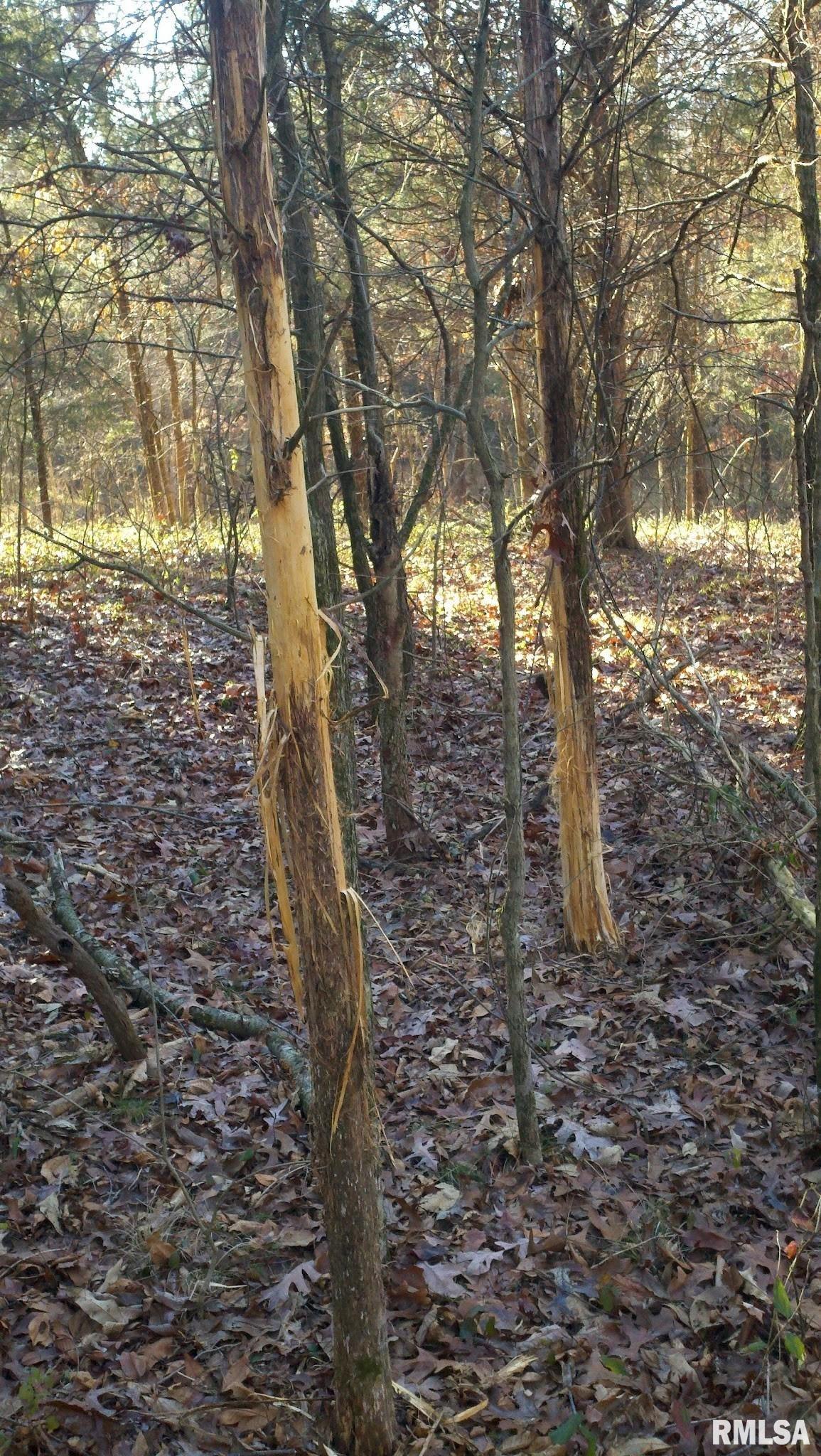 0 Route 166 Route Creal Springs, IL 62922 - Photo 11 of 53