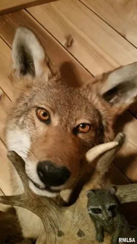 $390,000 | 0 Route 166 Route, Creal Springs, IL 62922