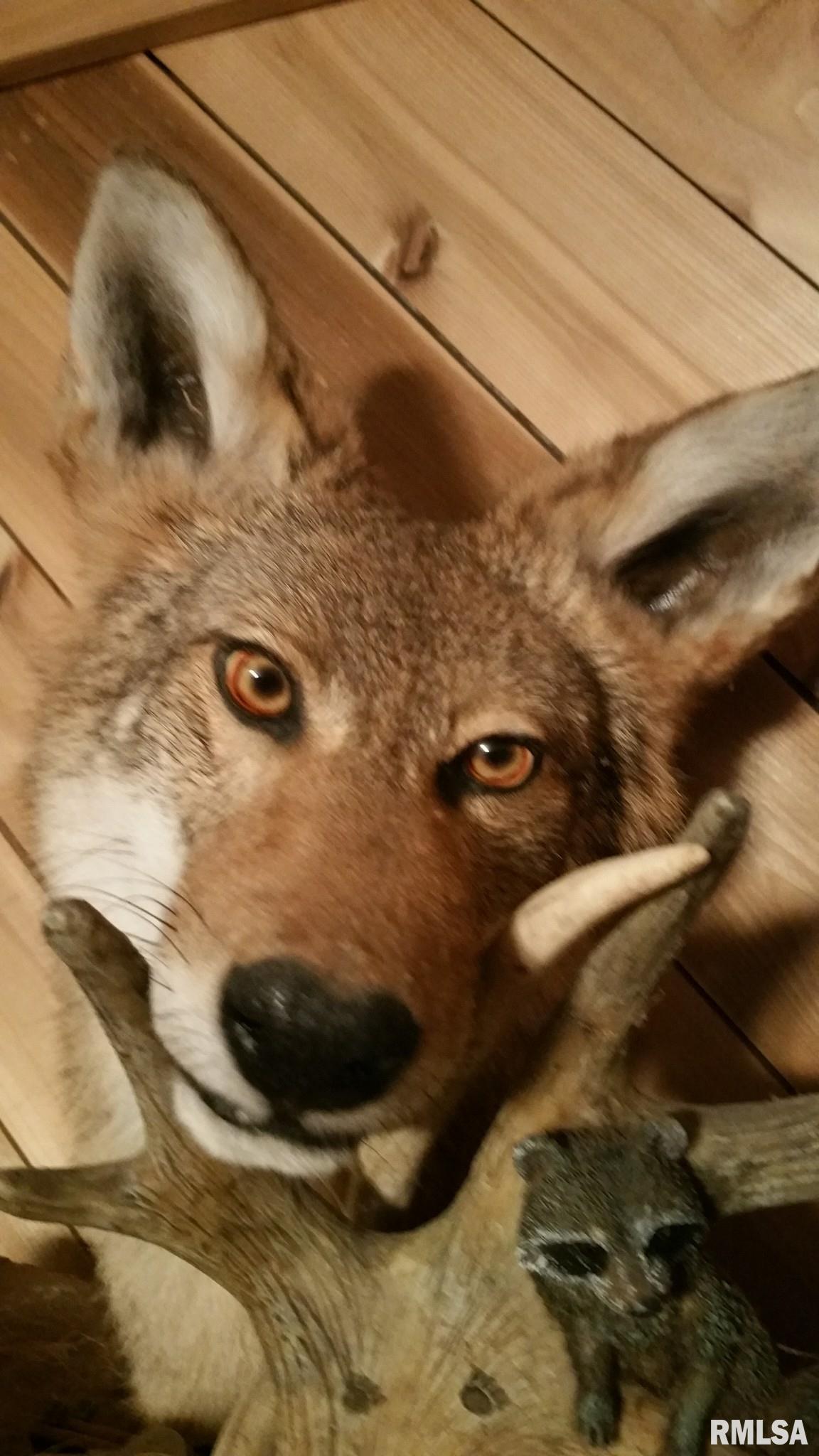 0 Route 166 Route Creal Springs, IL 62922 - Photo 12 of 53