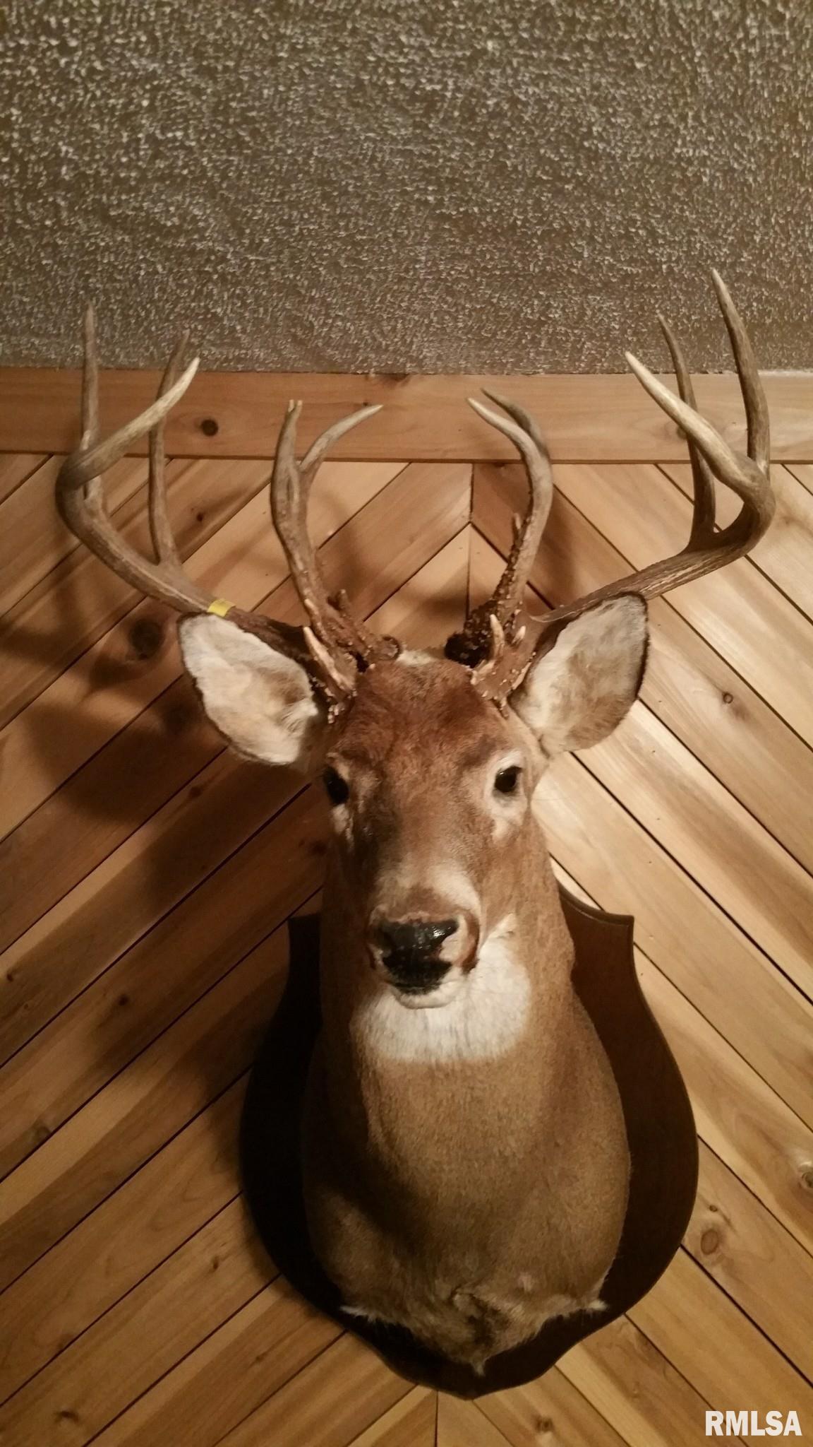 0 Route 166 Route Creal Springs, IL 62922 - Photo 14 of 53