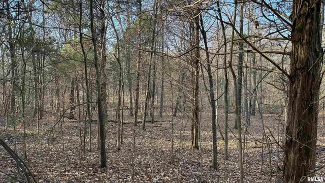 $390,000 | 0 Route 166 Route, Creal Springs, IL 62922