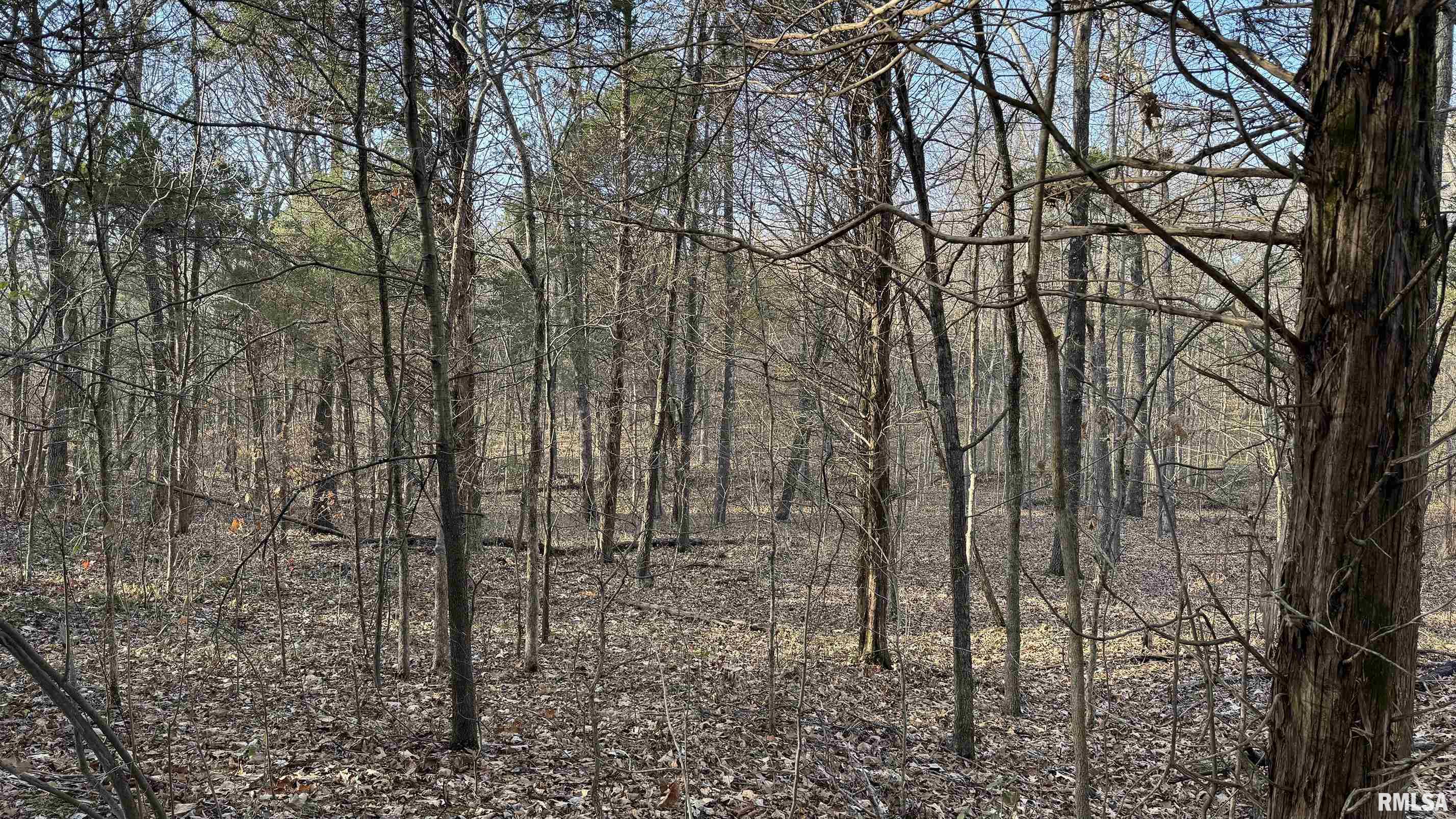 0 Route 166 Route Creal Springs, IL 62922 - Photo 19 of 53