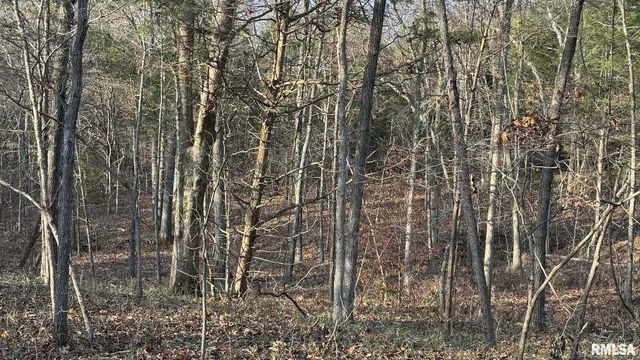 $390,000 | 0 Route 166 Route, Creal Springs, IL 62922