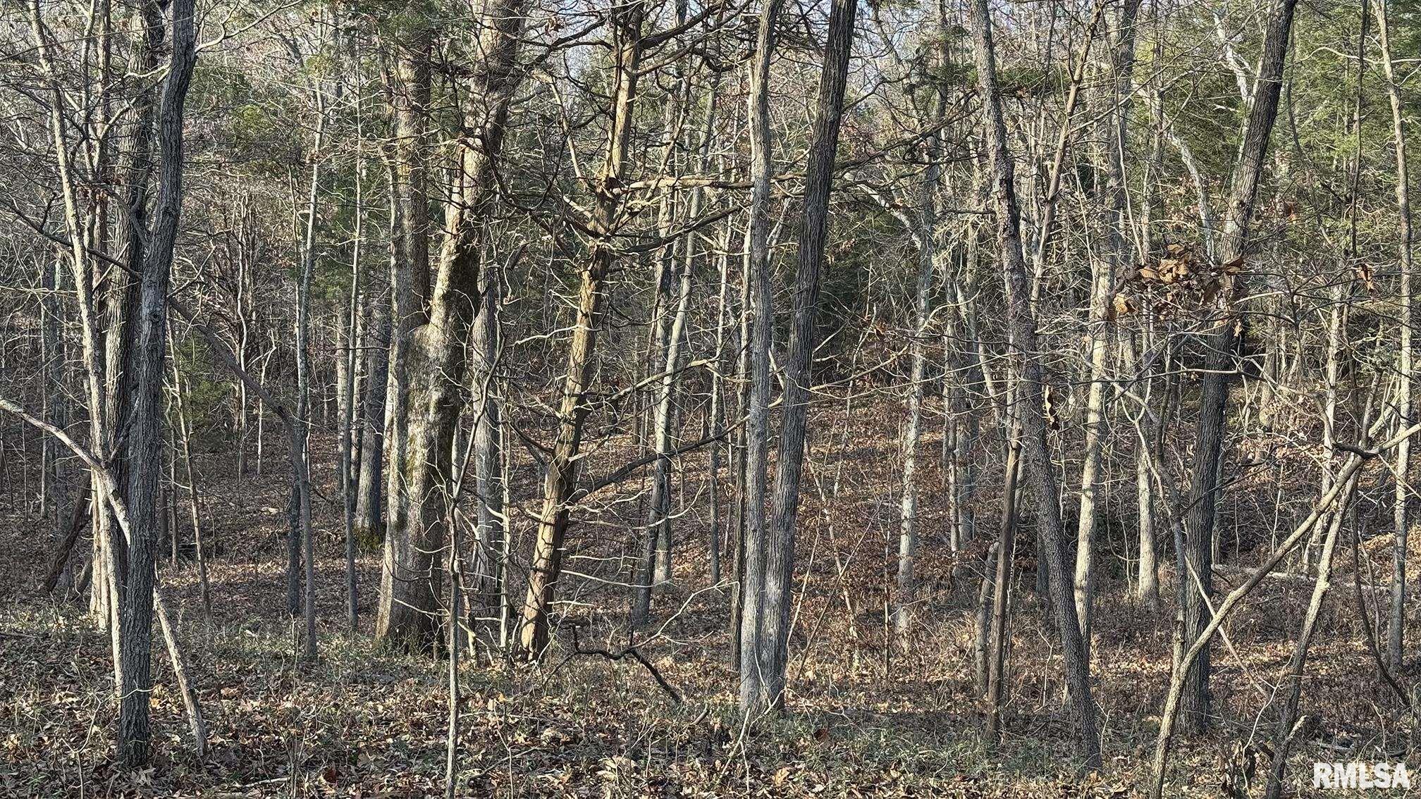 0 Route 166 Route Creal Springs, IL 62922 - Photo 21 of 53