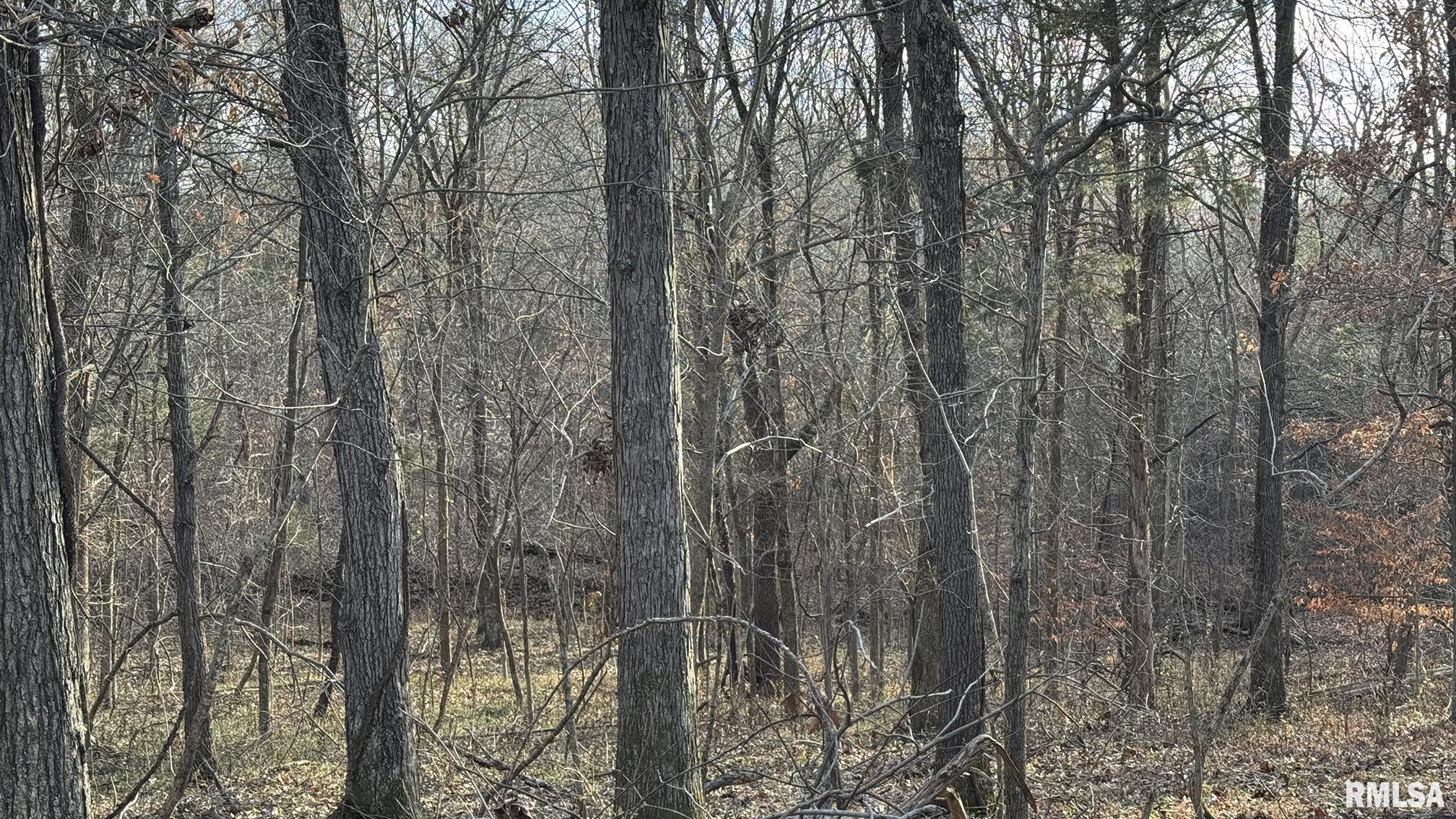 0 Route 166 Route Creal Springs, IL 62922 - Photo 22 of 53