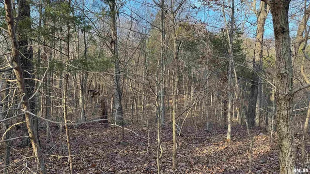 $390,000 | 0 Route 166 Route, Creal Springs, IL 62922