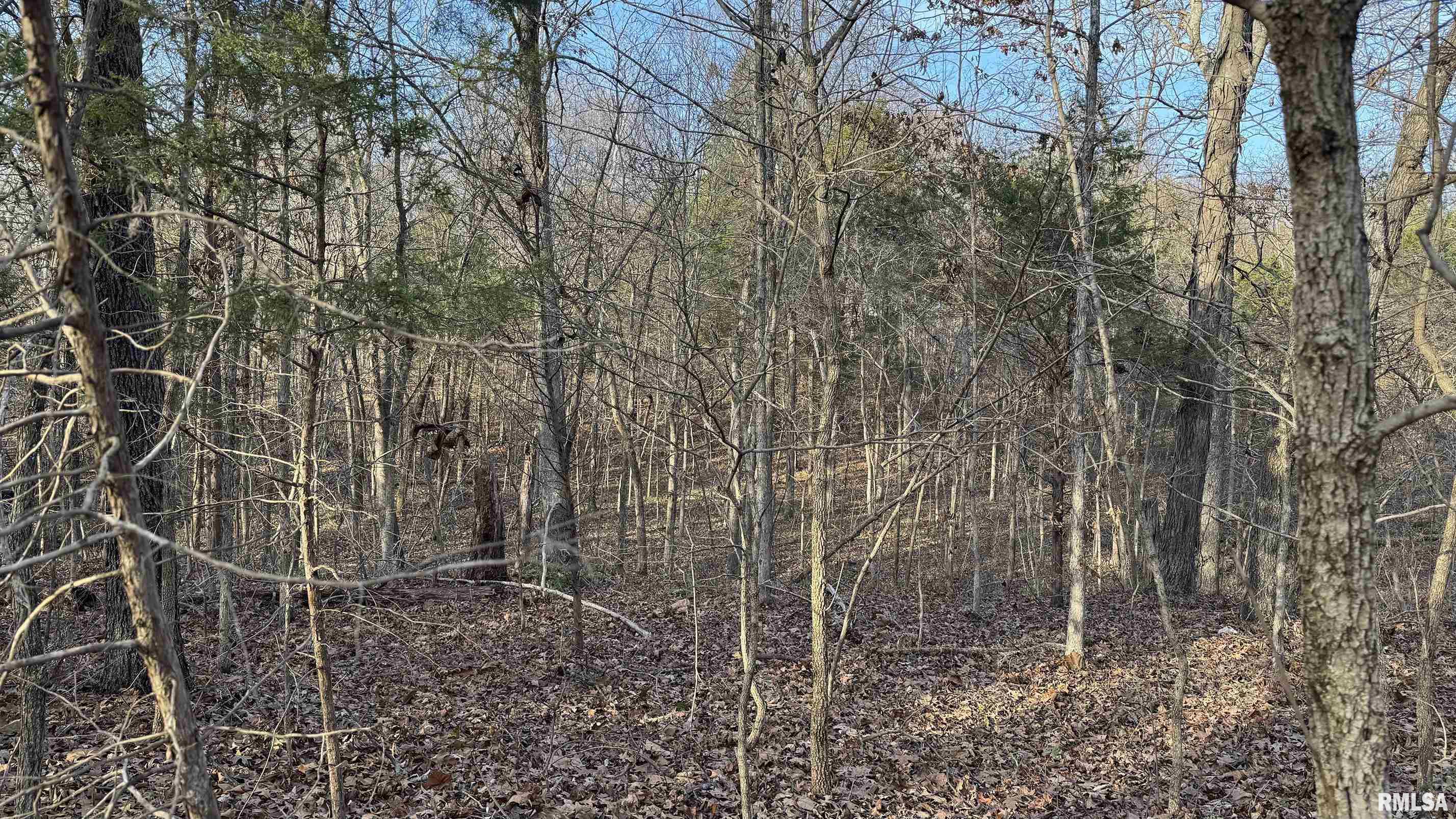 0 Route 166 Route Creal Springs, IL 62922 - Photo 23 of 53