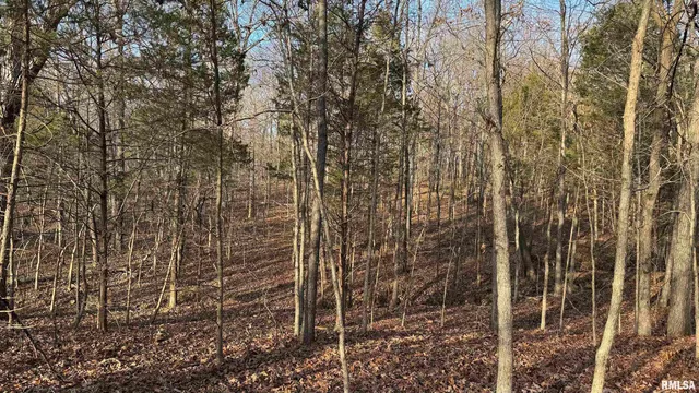 $390,000 | 0 Route 166 Route, Creal Springs, IL 62922