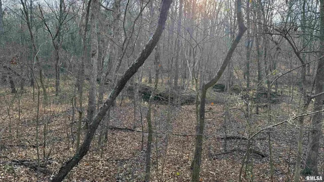 $390,000 | 0 Route 166 Route, Creal Springs, IL 62922