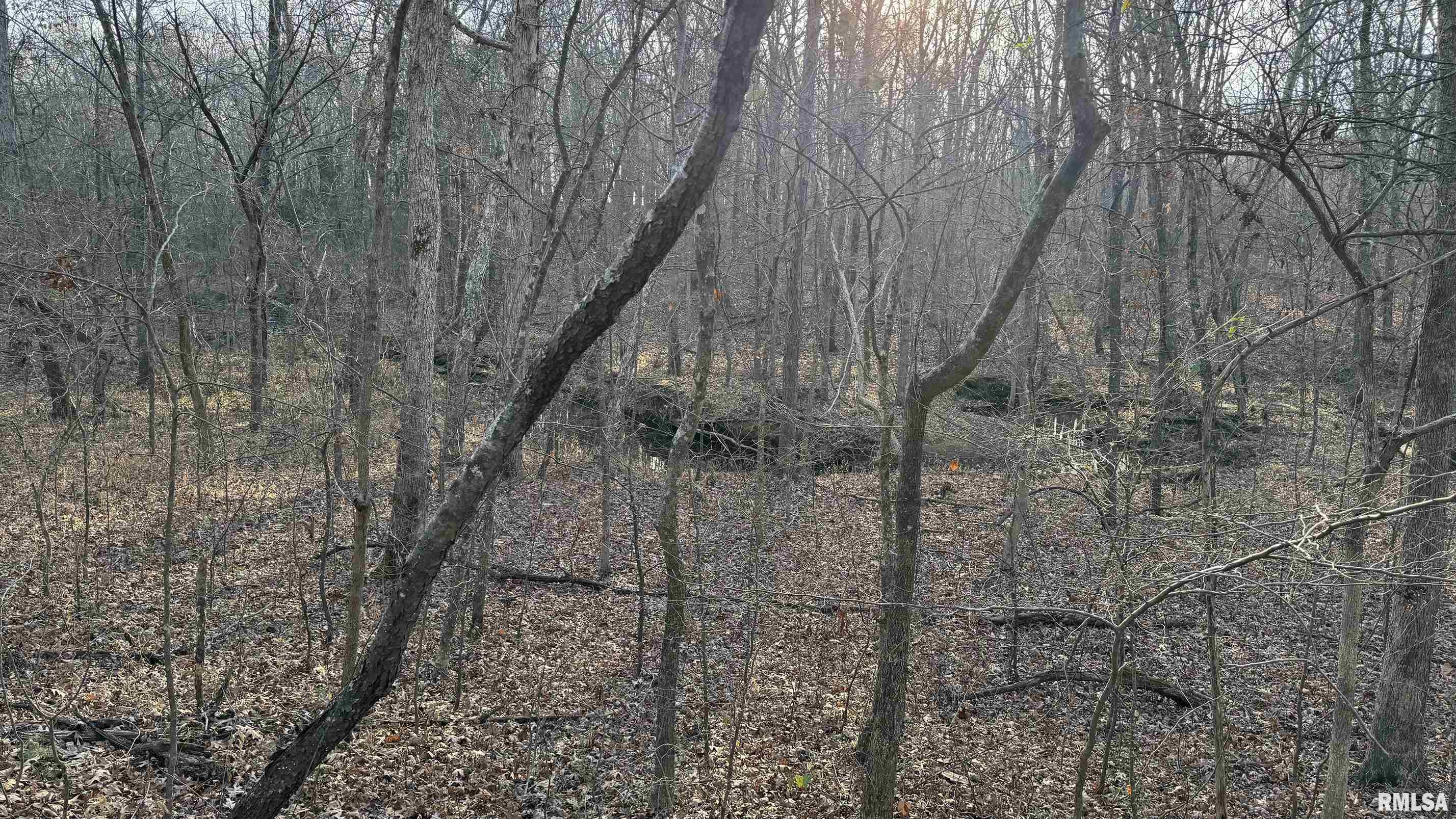 0 Route 166 Route Creal Springs, IL 62922 - Photo 25 of 53