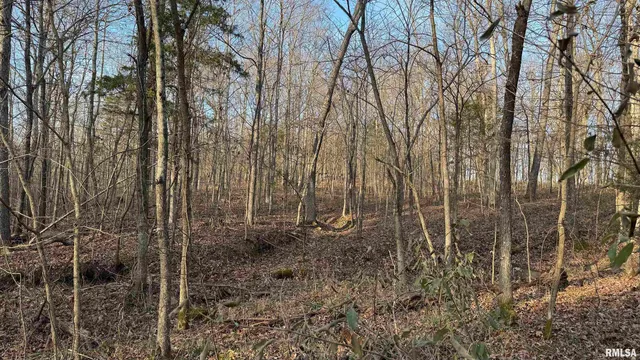 $390,000 | 0 Route 166 Route, Creal Springs, IL 62922