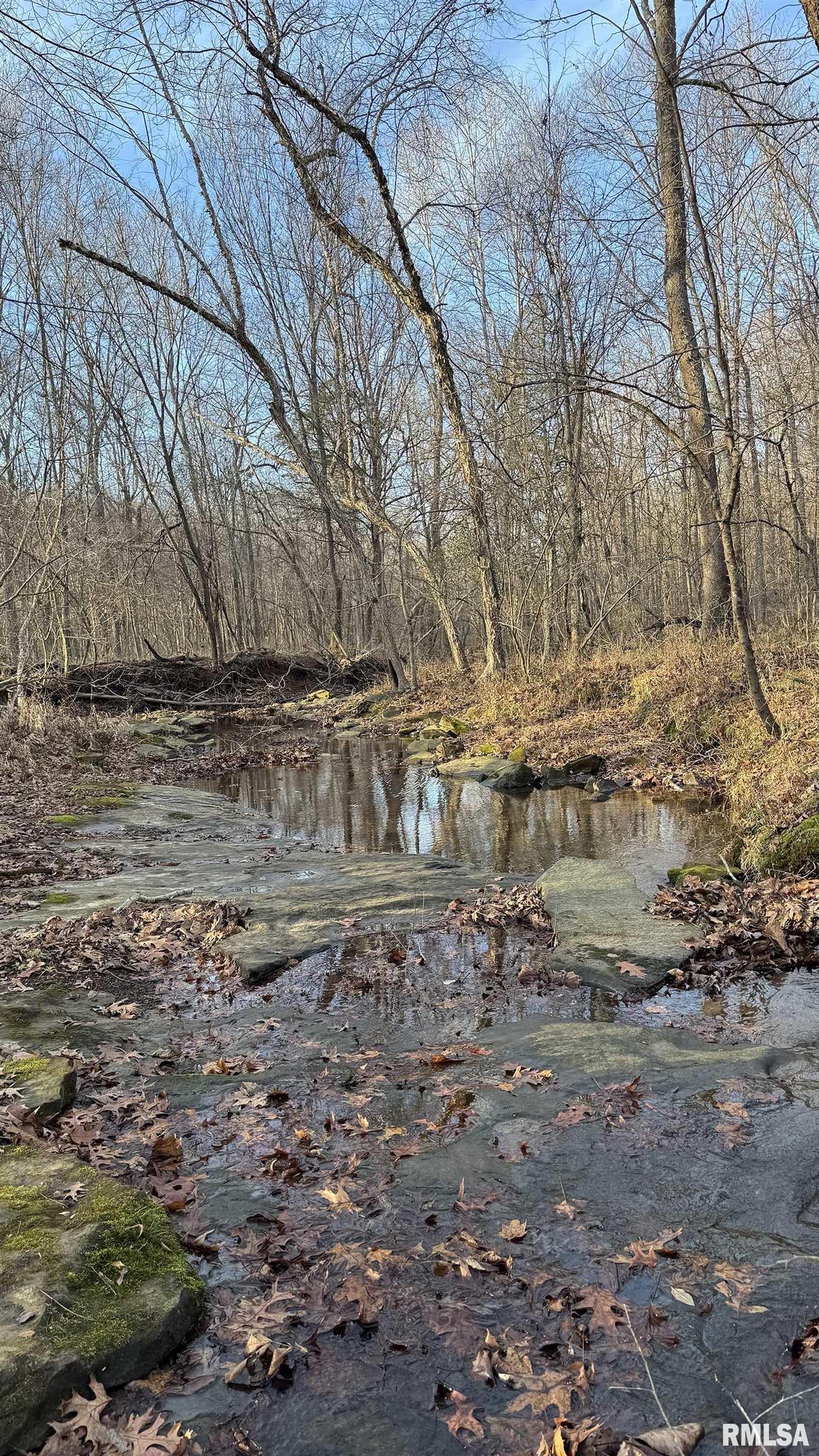 0 Route 166 Route Creal Springs, IL 62922 - Photo 27 of 53