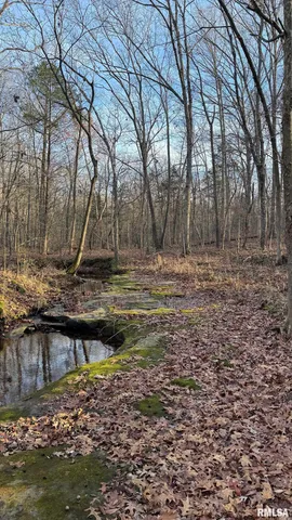 $390,000 | 0 Route 166 Route, Creal Springs, IL 62922