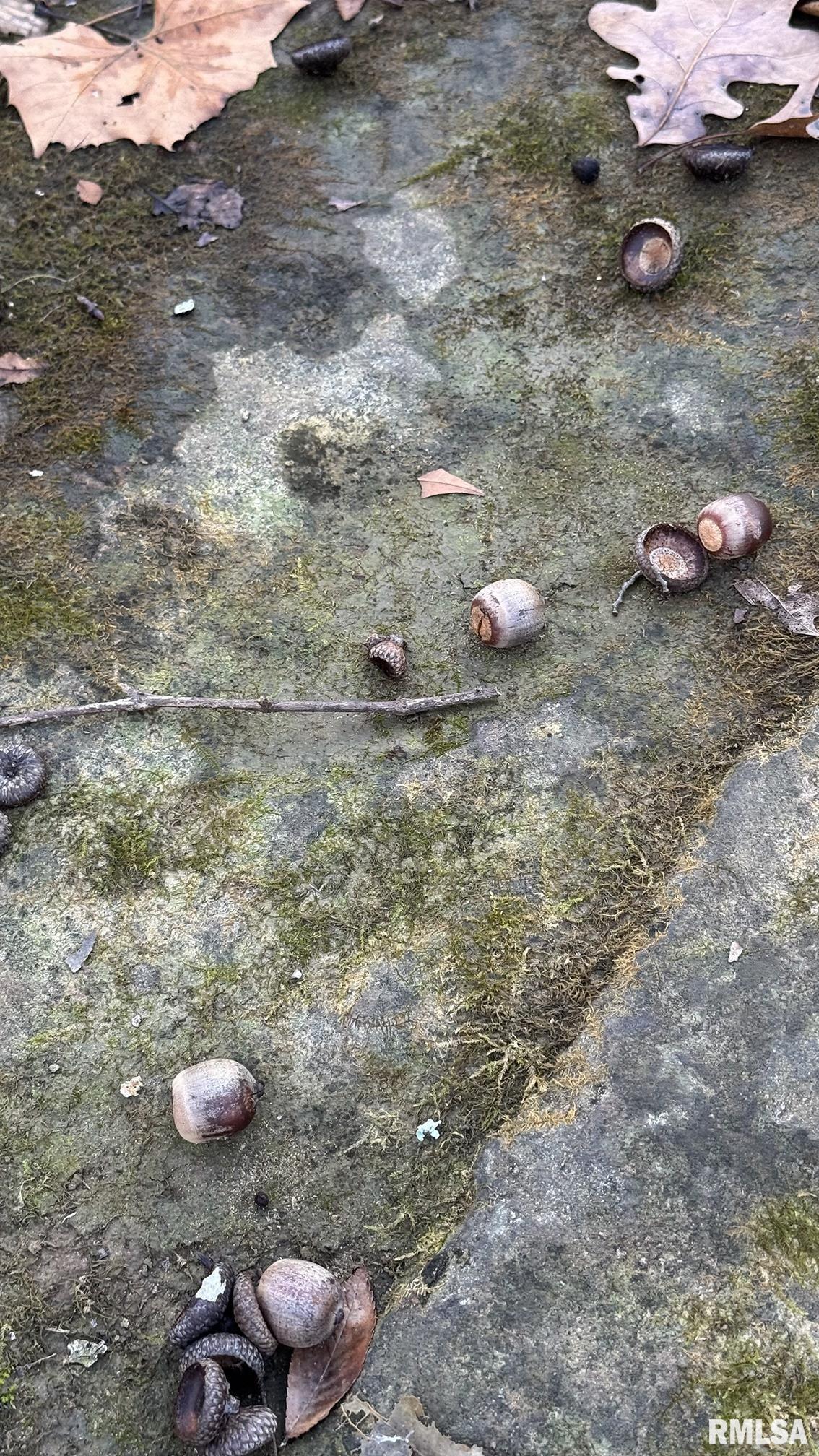 0 Route 166 Route Creal Springs, IL 62922 - Photo 29 of 53