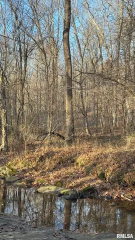 $390,000 | 0 Route 166 Route, Creal Springs, IL 62922