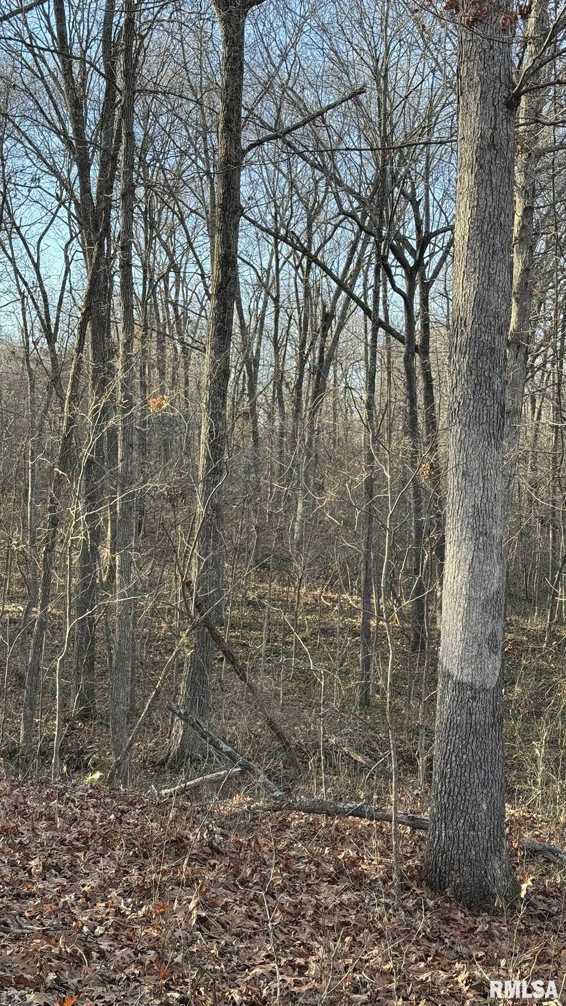 0 Route 166 Route Creal Springs, IL 62922 - Photo 31 of 53