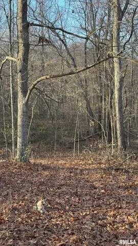 $390,000 | 0 Route 166 Route, Creal Springs, IL 62922