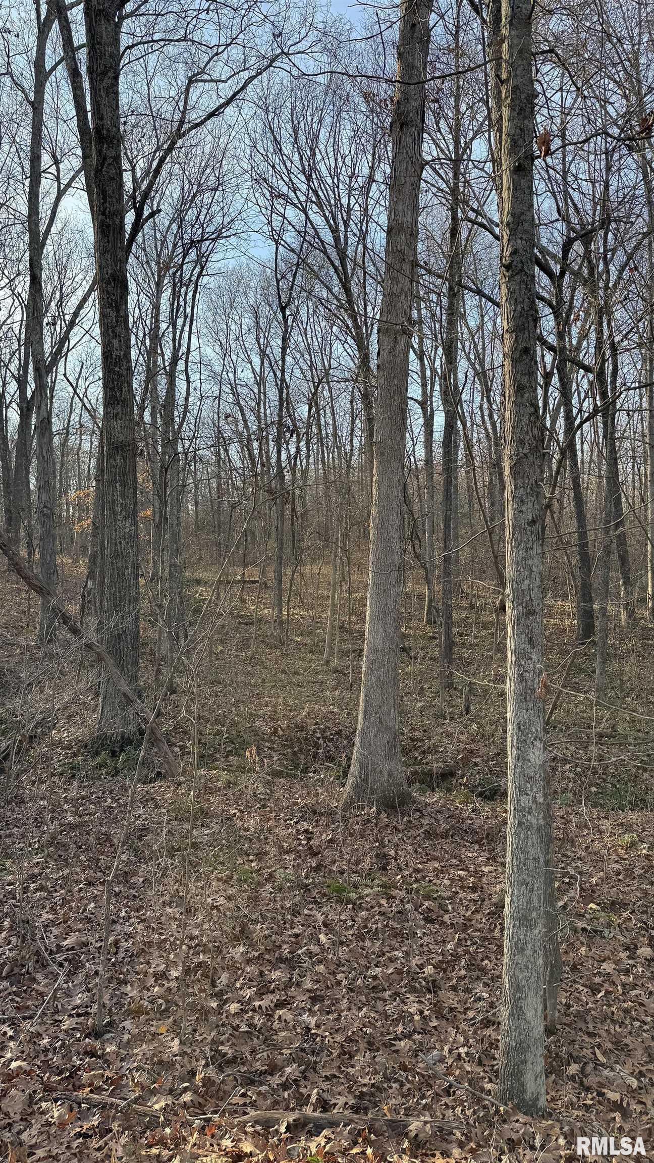 0 Route 166 Route Creal Springs, IL 62922 - Photo 33 of 53