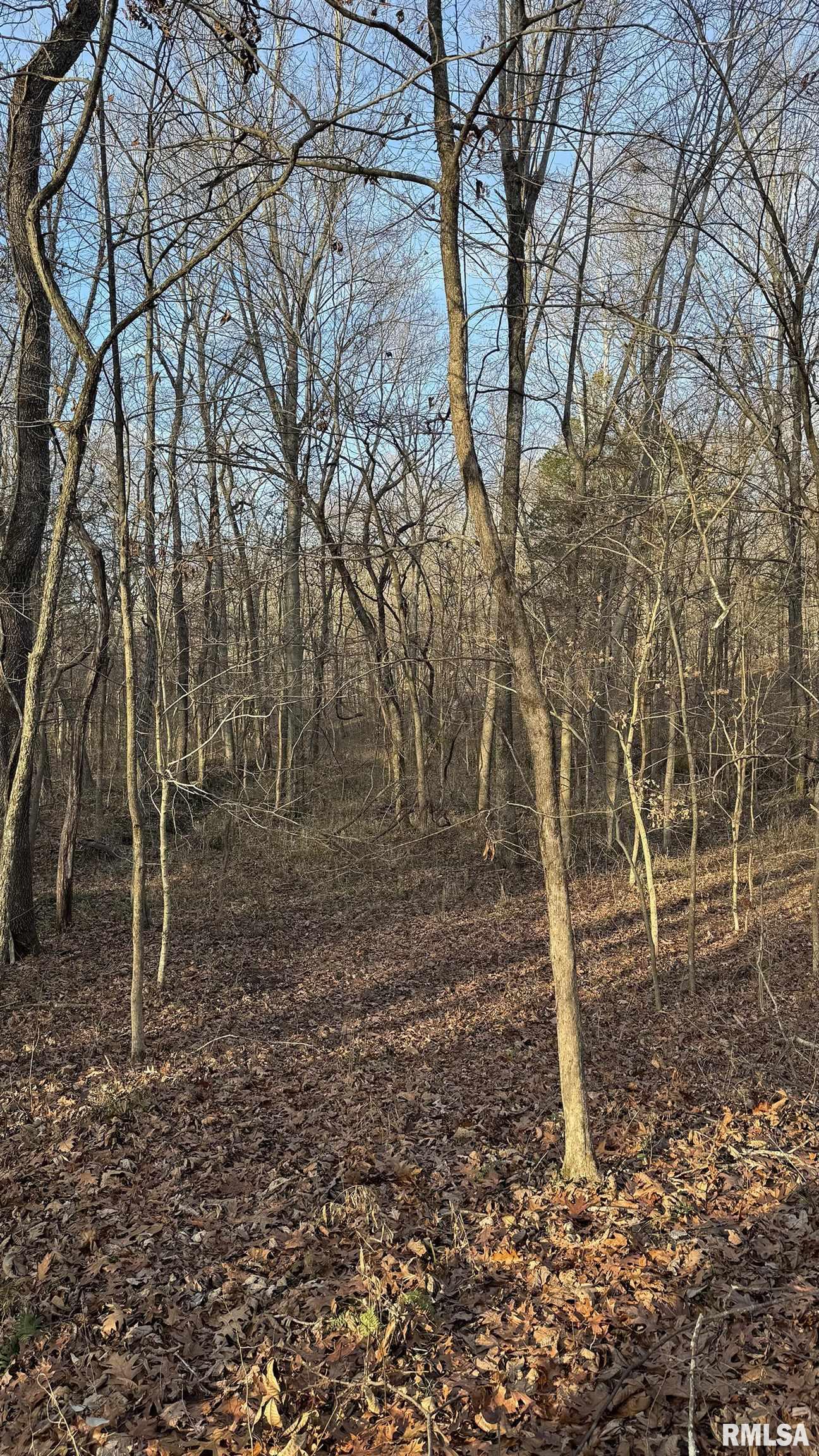 0 Route 166 Route Creal Springs, IL 62922 - Photo 34 of 53