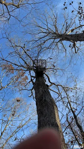 $390,000 | 0 Route 166 Route, Creal Springs, IL 62922