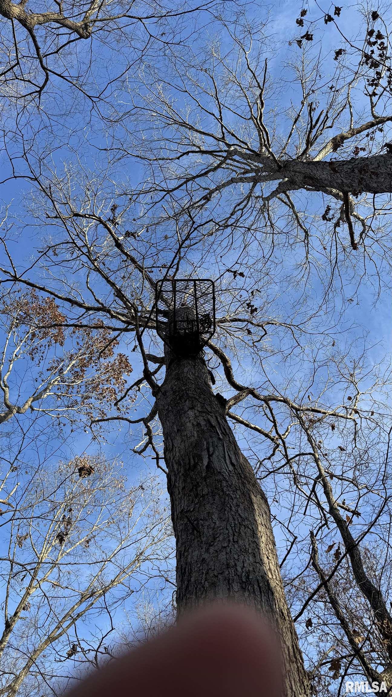 0 Route 166 Route Creal Springs, IL 62922 - Photo 35 of 53