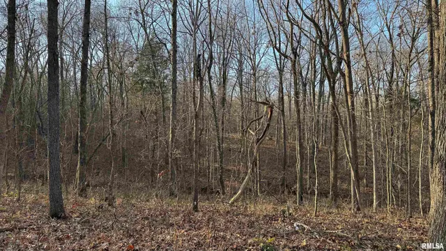 $390,000 | 0 Route 166 Route, Creal Springs, IL 62922