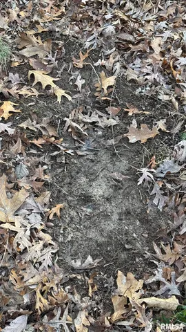 $390,000 | 0 Route 166 Route, Creal Springs, IL 62922